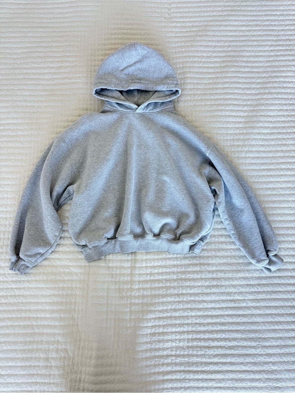 Aritzia Cozy Sweatfleece Mega Drop Shoulder Hoodie